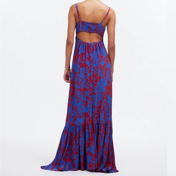 Madewell Empire-Waist Tank Maxi Dress in Exploded Red And Blue Floral 4 - Picture 2 of 8